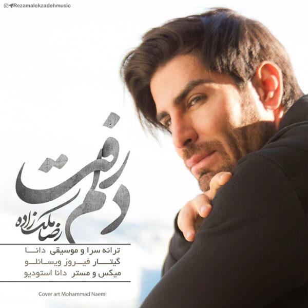 کاور آهنگ دلم رفت از رضا ملک زاده