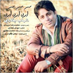کاور آره آره آره از شهاب بخارایی