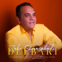 کاور دلبری از زکی شمس آبادی