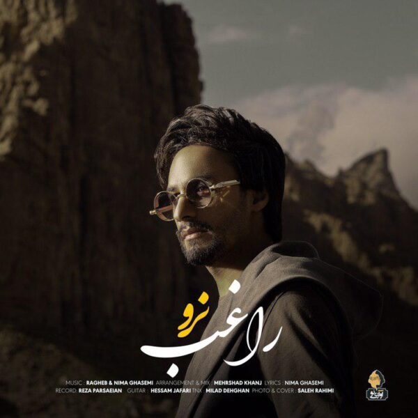 کاور آهنگ نرو از راغب