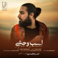 کاور اسب وحشی از امیر عظیمی