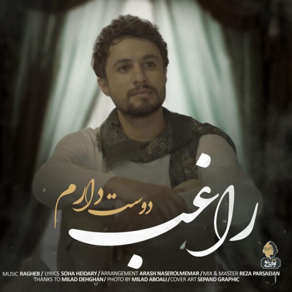 کاور آهنگ دوست دارم از راغب