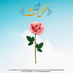 کاور نرگس مست از رحمان تک دهقان