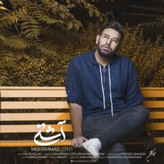 کاور آشتی از محمد لطفی