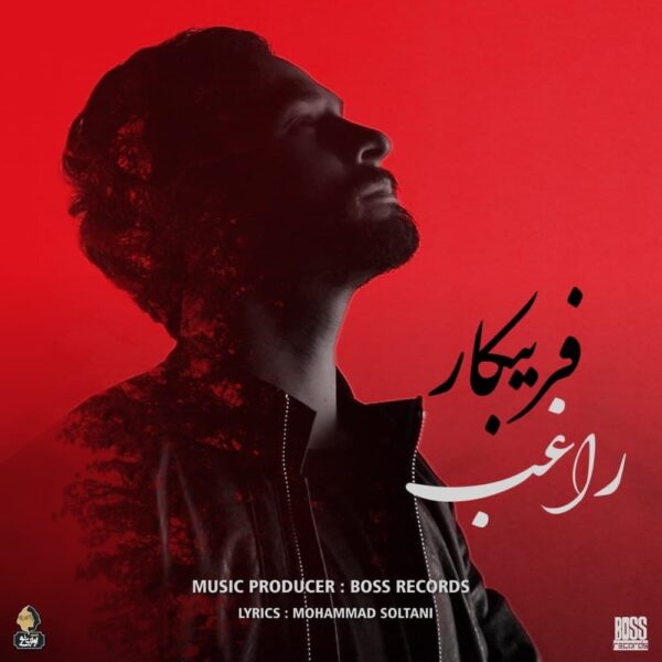 کاور آهنگ فریبکار از راغب