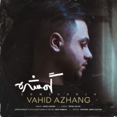 کاور گمشده از وحید آژنگ