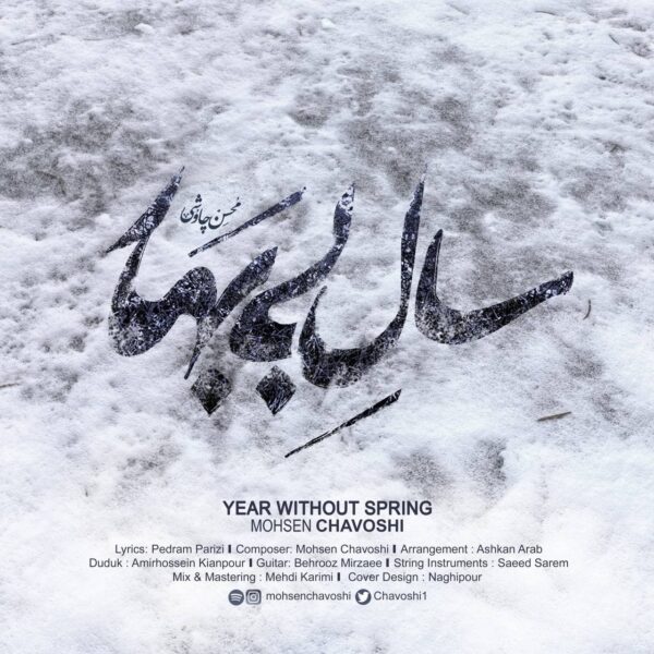 کاور آهنگ سال بی بهار از محسن چاوشی