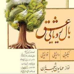 کاور بال رویایی عشق