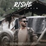 امیر آرسین – ریشه