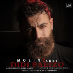 کاور دیدی پاییزو از معین زد