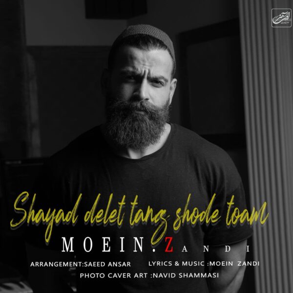کاور آهنگ شاید دلت تنگ شده توام از معین زد