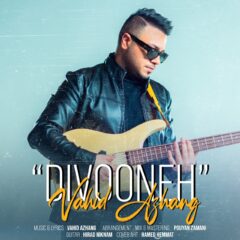 کاور دیوونه از وحید آژنگ