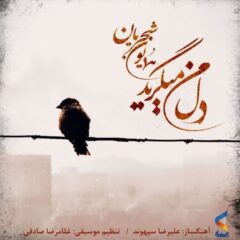 کاور دل من میگرید