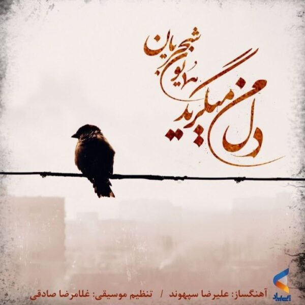 کاور آهنگ دل من میگرید از همایون شجریان