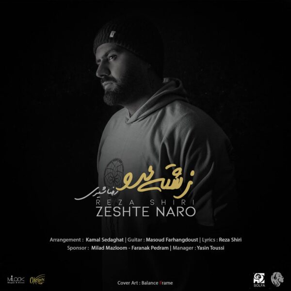 کاور آهنگ زشته نرو از رضا شیری