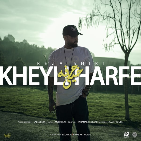 کاور آهنگ خیلی حرفه از رضا شیری