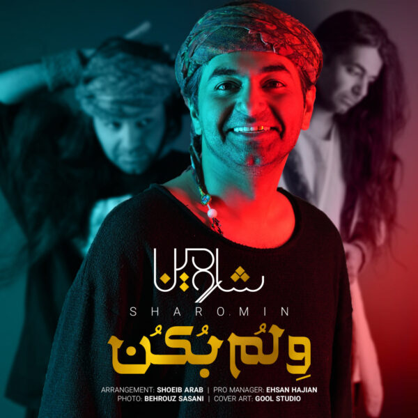 کاور آهنگ ولم بکن از شارومین
