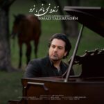 عماد طالب زاده – زنده نمی مانم نرو