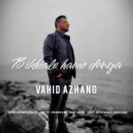 وحید آژنگ – بیخیال همه دنیا