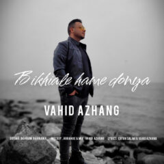 کاور بیخیال همه دنیا از وحید آژنگ