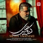 مهدی یغمایی – دیگری