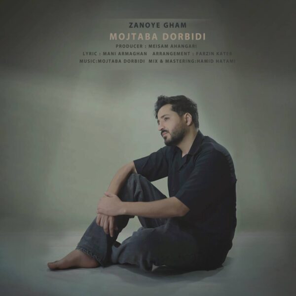 کاور آهنگ زانوی غم از مجتبی دربیدی