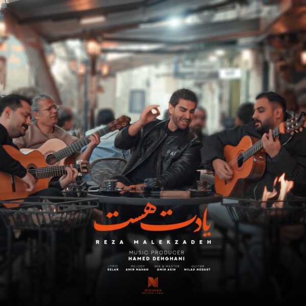 کاور آهنگ یادت هست از رضا ملک زاده