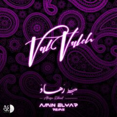 کاور ول وله (امین الیار ریمیکس) از علیرضا رهاد