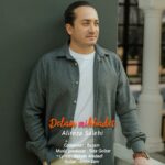 علیرضا صالحی – دلم میخوادت