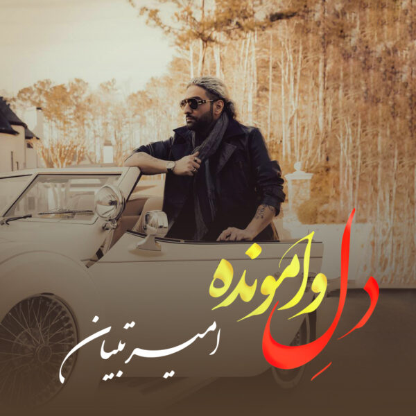 کاور آهنگ دل وامونده از امیر تبیان