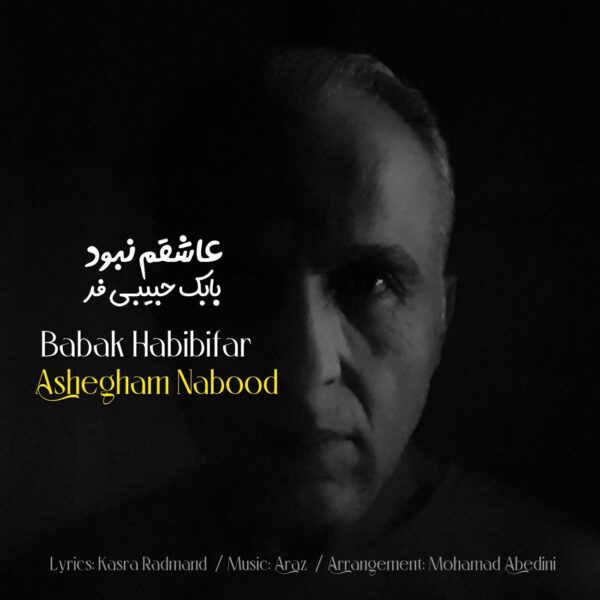کاور آهنگ عاشقم نبود از بابک حبیبی فر