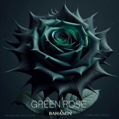 کاور رز سبز از بهامین و پاکاتونز