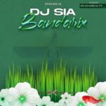 دیجی سیا – بندریکس 02