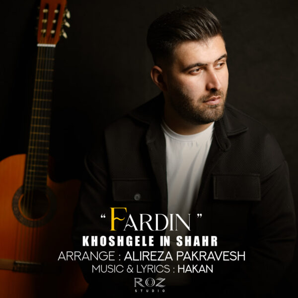 کاور آهنگ خوشگل این شهر از فردین