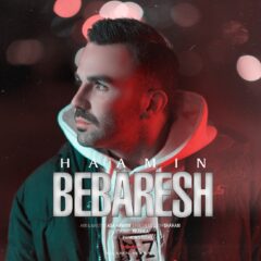 کاور ببرش از هامین موسوی