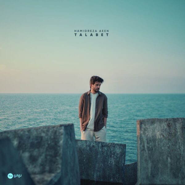 کاور آهنگ طلبت از حميدرضا آيين