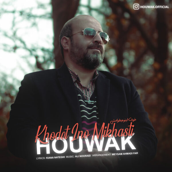 کاور آهنگ خودت اینو میخواستی از هوواک