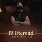 میثم شکری ساز – بی اعتماد