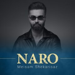 کاور نرو از میثم شکری ساز