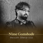 میثم شکری ساز – نیمه گمشده