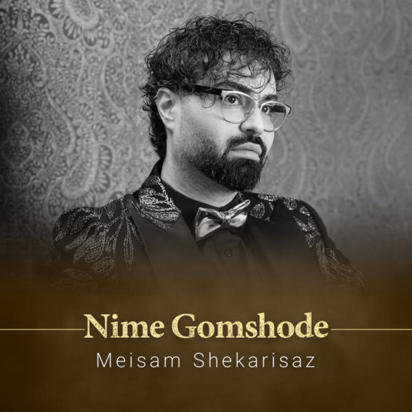 کاور آهنگ نیمه گمشده از میثم شکری ساز