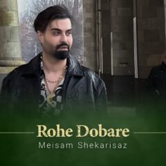 کاور روح دوبارهی از میثم شکری ساز