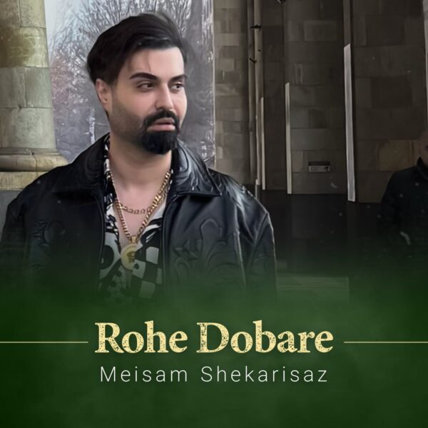 کاور آهنگ روح دوبارهی از میثم شکری ساز