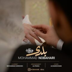 کاور بلدی از محمد نوبهاری