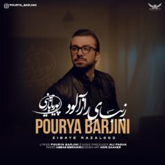 کاور زیبای رازآلود از پوریا بارجینی