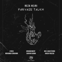 کاور پرواز تلخ از رضا هجری