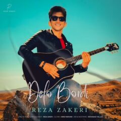 کاور دلو بردی از رضا ذاکری