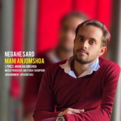 کاور نگاه سرد از مانی انجم شعاع