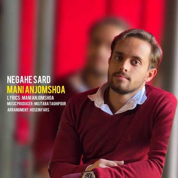 کاور آهنگ نگاه سرد از مانی انجم شعاع