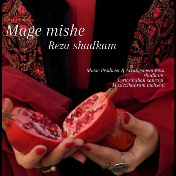 کاور آهنگ مگه میشه از رضا شادکام